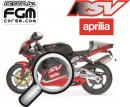 rsv 1000 2001